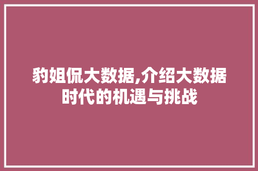豹姐侃大数据,介绍大数据时代的机遇与挑战 必应SEO