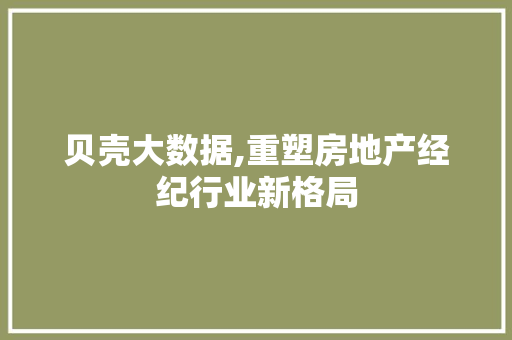 贝壳大数据,重塑房地产经纪行业新格局 百度SEO
