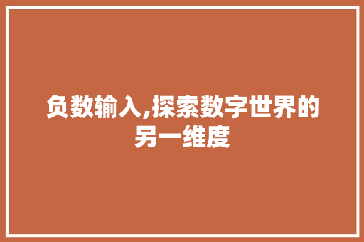 负数输入,探索数字世界的另一维度 搜狗SEO