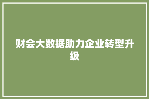 财会大数据助力企业转型升级 必应SEO