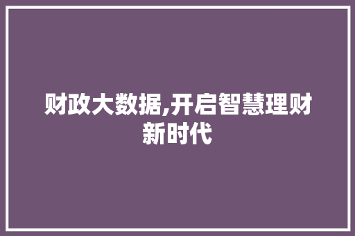 财政大数据,开启智慧理财新时代 GoogleSEO