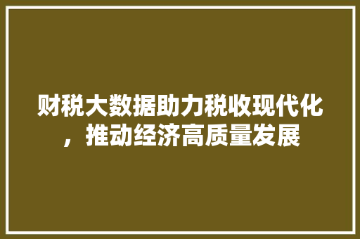财税大数据助力税收现代化，推动经济高质量发展 GoogleSEO