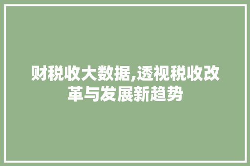 财税收大数据,透视税收改革与发展新趋势 百度SEO
