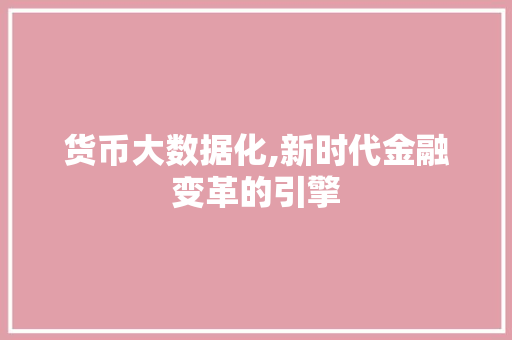 货币大数据化,新时代金融变革的引擎 必应SEO
