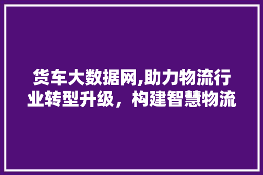 货车大数据网,助力物流行业转型升级，构建智慧物流新生态 GoogleSEO
