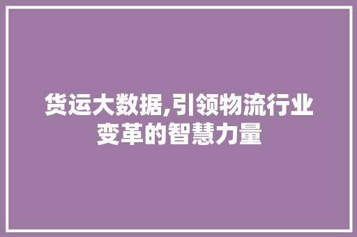 货运大数据,引领物流行业变革的智慧力量 百度SEO