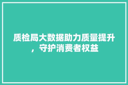 质检局大数据助力质量提升，守护消费者权益 GoogleSEO