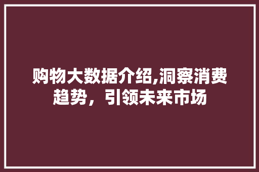 购物大数据介绍,洞察消费趋势，引领未来市场 百度SEO