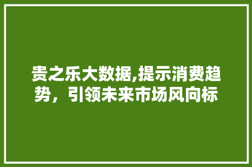 贵之乐大数据,提示消费趋势，引领未来市场风向标 必应SEO
