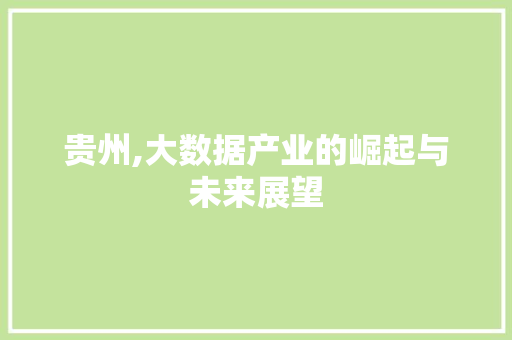 贵州,大数据产业的崛起与未来展望 搜狗SEO