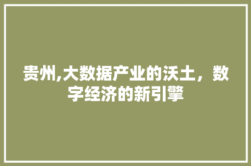 贵州,大数据产业的沃土，数字经济的新引擎 GoogleSEO
