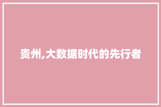 贵州,大数据时代的先行者 神马SEO