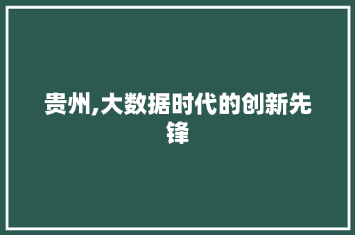 贵州,大数据时代的创新先锋 搜狗SEO