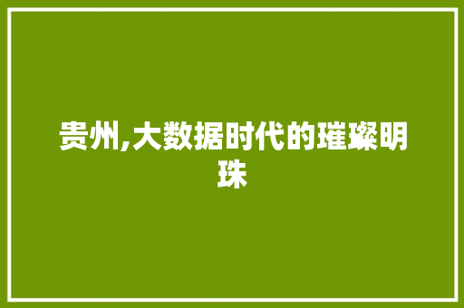 贵州,大数据时代的璀璨明珠 搜狗SEO