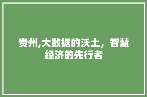 贵州,大数据的沃土，智慧经济的先行者 GoogleSEO