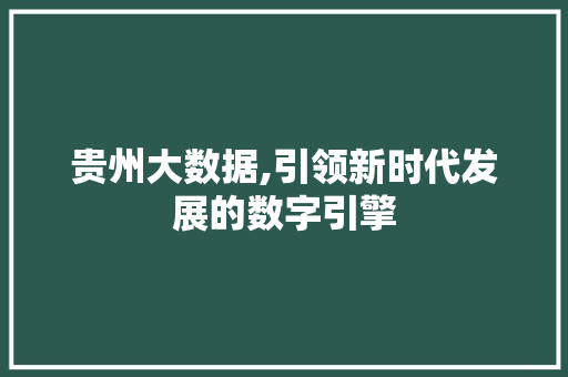 贵州大数据,引领新时代发展的数字引擎 神马SEO