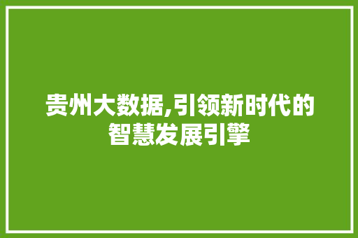 贵州大数据,引领新时代的智慧发展引擎 神马SEO