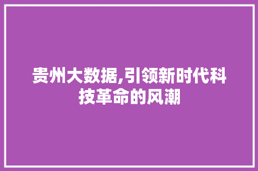 贵州大数据,引领新时代科技革命的风潮 百度SEO