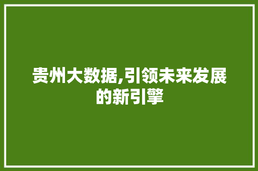 贵州大数据,引领未来发展的新引擎 百度SEO