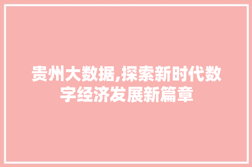贵州大数据,探索新时代数字经济发展新篇章 必应SEO