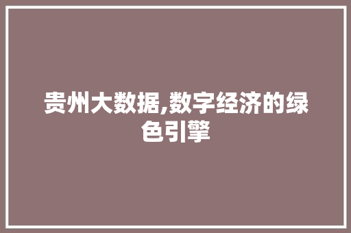 贵州大数据,数字经济的绿色引擎 神马SEO