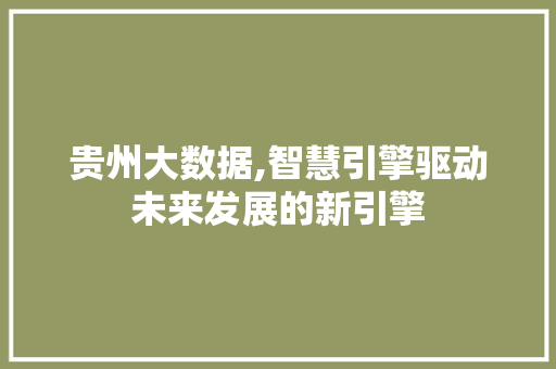 贵州大数据,智慧引擎驱动未来发展的新引擎 神马SEO