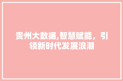 贵州大数据,智慧赋能，引领新时代发展浪潮 神马SEO