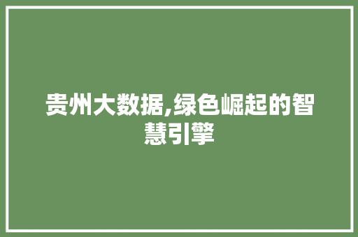 贵州大数据,绿色崛起的智慧引擎 GoogleSEO