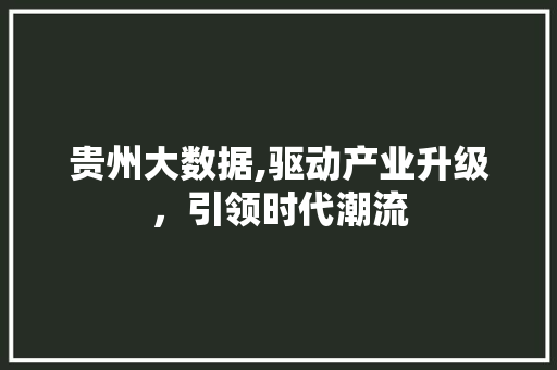 贵州大数据,驱动产业升级，引领时代潮流 神马SEO