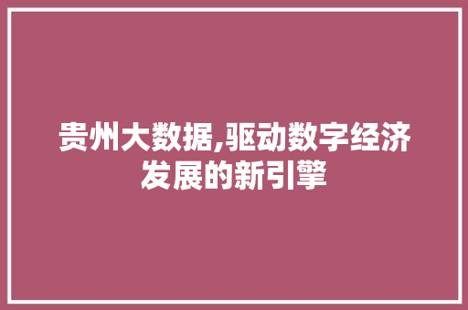 贵州大数据,驱动数字经济发展的新引擎 搜狗SEO