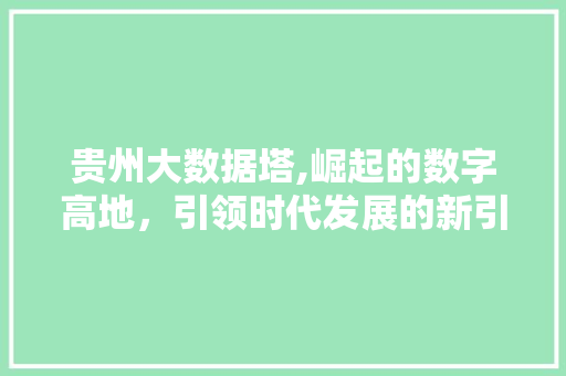 贵州大数据塔,崛起的数字高地，引领时代发展的新引擎 GoogleSEO