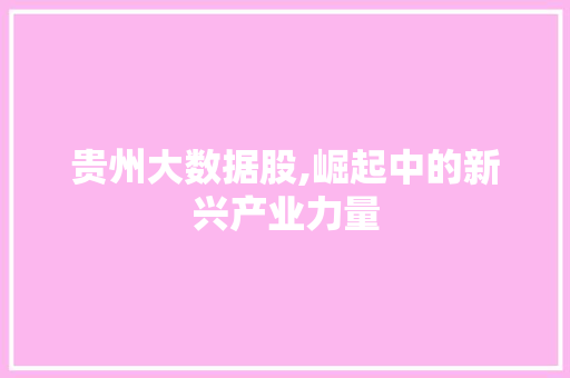 贵州大数据股,崛起中的新兴产业力量 搜狗SEO
