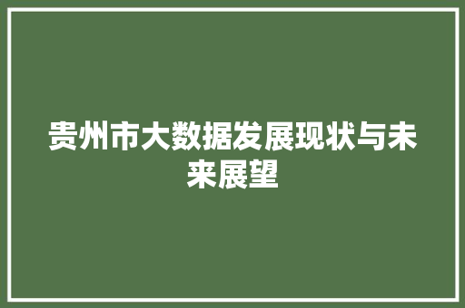 贵州市大数据发展现状与未来展望 必应SEO