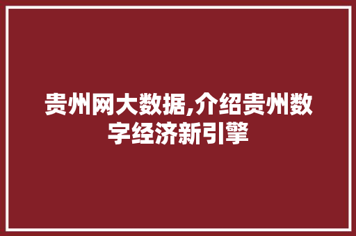 贵州网大数据,介绍贵州数字经济新引擎