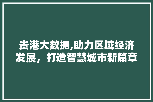 贵港大数据,助力区域经济发展，打造智慧城市新篇章 必应SEO