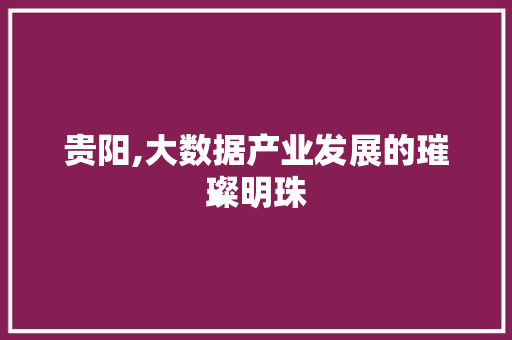贵阳,大数据产业发展的璀璨明珠 百度SEO