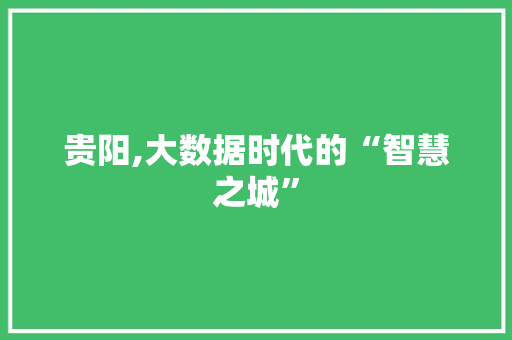 贵阳,大数据时代的“智慧之城” 神马SEO