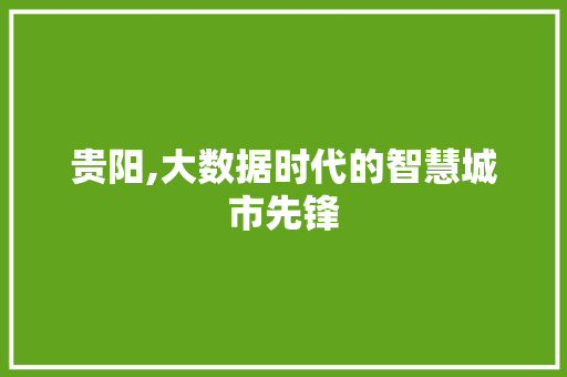 贵阳,大数据时代的智慧城市先锋