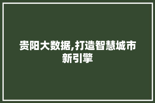 贵阳大数据,打造智慧城市新引擎 神马SEO