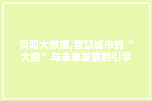 贵阳大数据,智慧城市的“大脑”与未来发展的引擎 百度SEO