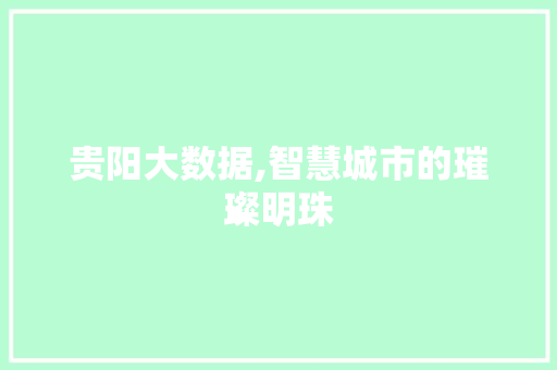 贵阳大数据,智慧城市的璀璨明珠 神马SEO