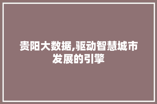 贵阳大数据,驱动智慧城市发展的引擎 神马SEO