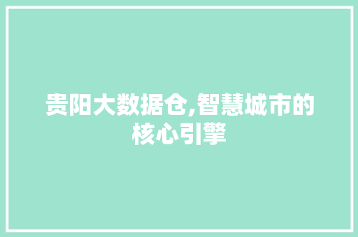 贵阳大数据仓,智慧城市的核心引擎 搜狗SEO