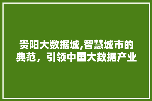 贵阳大数据城,智慧城市的典范，引领中国大数据产业发展 必应SEO
