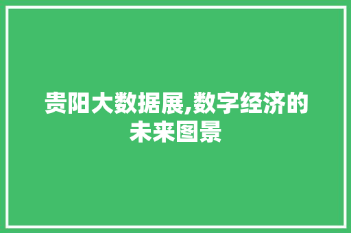 贵阳大数据展,数字经济的未来图景 搜狗SEO
