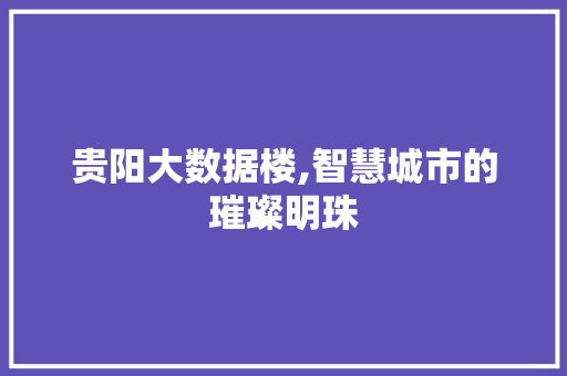 贵阳大数据楼,智慧城市的璀璨明珠 必应SEO