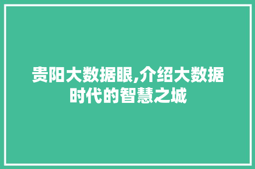 贵阳大数据眼,介绍大数据时代的智慧之城 搜狗SEO