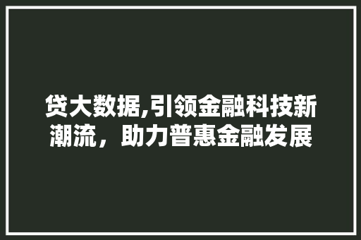贷大数据,引领金融科技新潮流，助力普惠金融发展 百度SEO