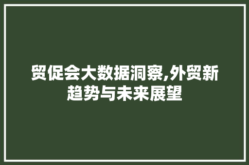 贸促会大数据洞察,外贸新趋势与未来展望