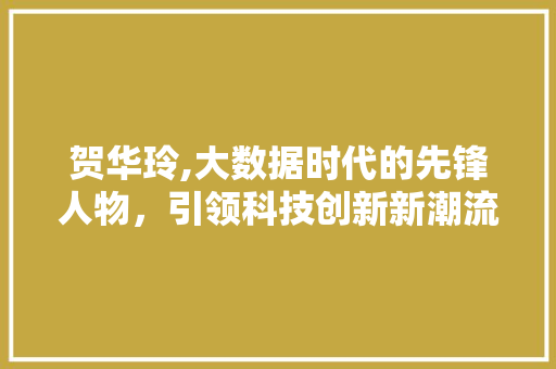 贺华玲,大数据时代的先锋人物，引领科技创新新潮流 GoogleSEO